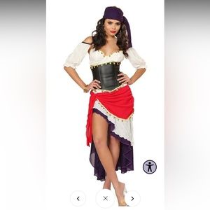 Fortune Teller princess costume - small NWT
